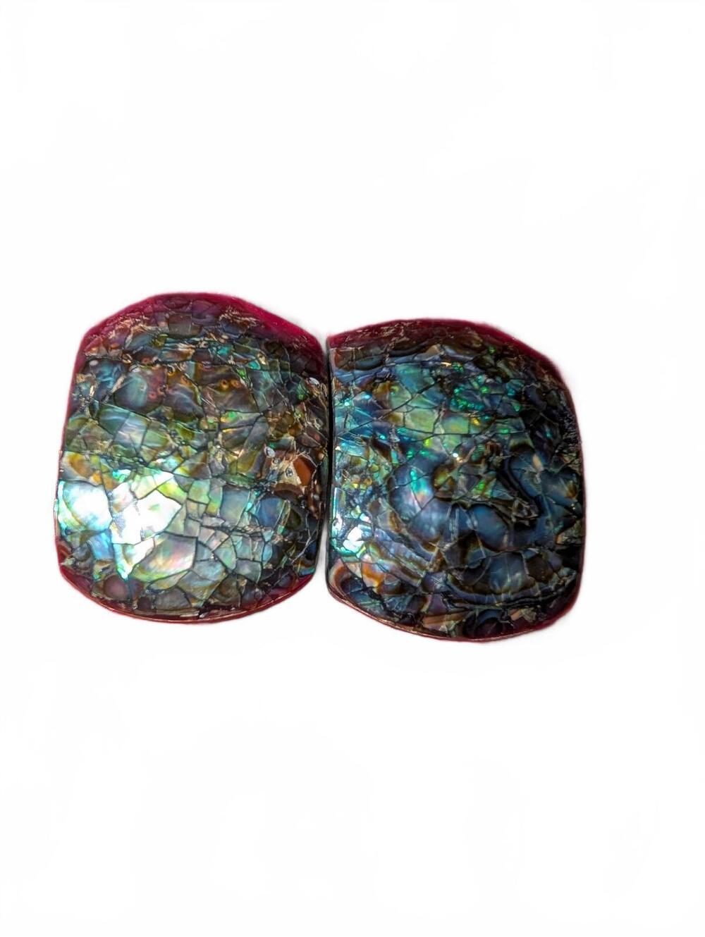 Vintage Abalone Shell earrings